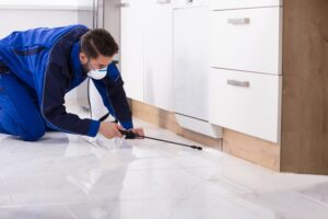 Signs You Have a Rodent Problem in Your Ferndale Home