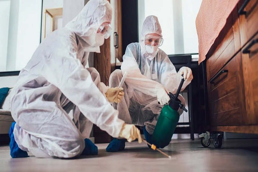 pest control near me